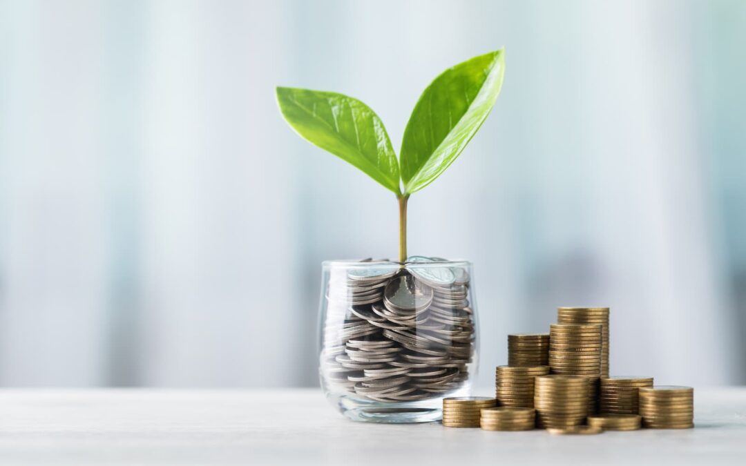 A still life photo on a white surface with a glass of coins and a small plant. The plant, with two bright green leaves, is growing out of a clear glass filled to the brim with shiny silver coins. To the right of the glass, there are several small stacks of gold coins of varying heights, forming a bar chart. The background is a blurry light gray and white.